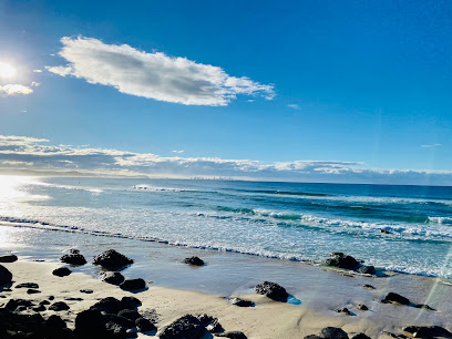 profile picture of P. Coimbra profile picture