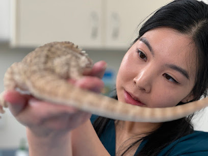 profile picture of Petstock Vet Tweed Heads profile picture