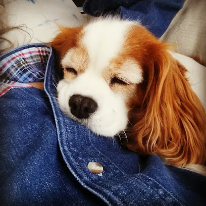 profile picture of Greenway Drive Veterinary Hospital profile picture