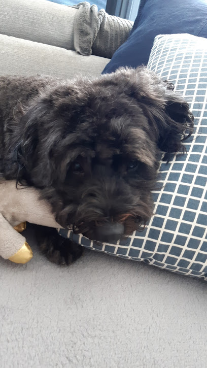 profile picture of Vanessa's Hair of the Dog On Tweed profile picture