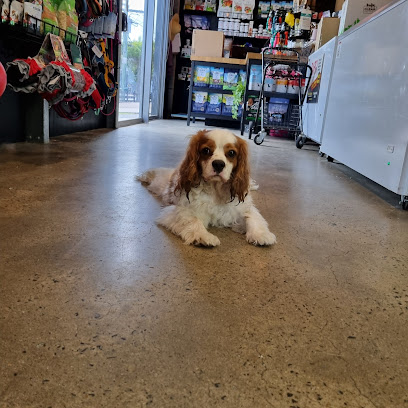 profile picture of The Curious Dog and Raw Health 4 Dogs profile picture