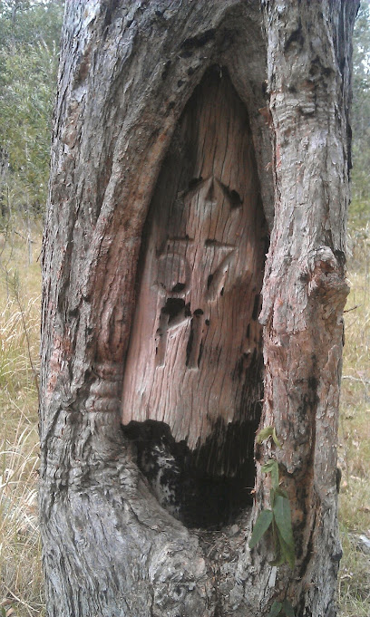 profile picture of B&P Surveys profile picture