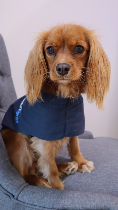 profile picture of Terrigal Dental + Orthodontics profile picture