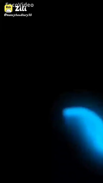 profile picture of The Agency | Central Coast profile picture