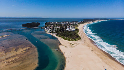 profile picture of Pelican Time with Marine Wildlife Rescue Central Coast profile picture