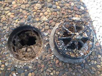 profile picture of Kill A Pest Maitland - Pest Control & Termite Inspection profile picture