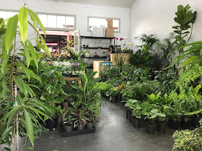 profile picture of Folia House profile picture