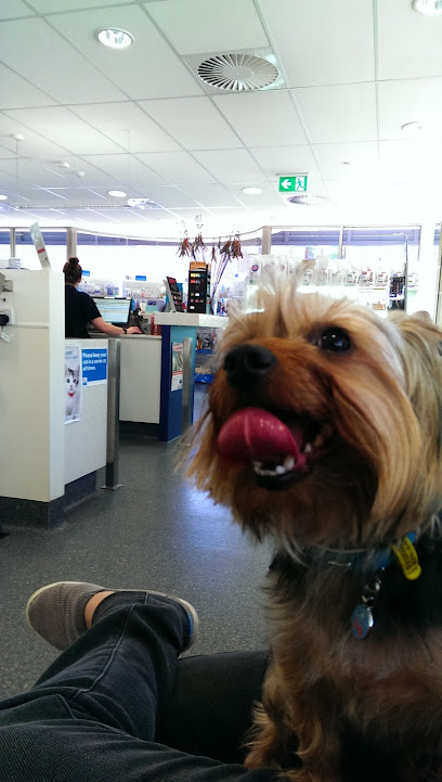 profile picture of The Lost Dogs' Home Vet Hospital profile picture