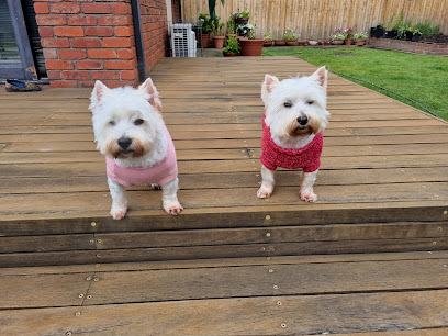 profile picture of Port Melbourne Veterinary Clinic profile picture