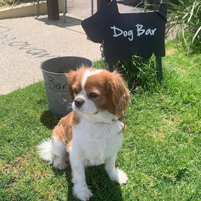 profile picture of Tails of the City VIC - Dog Care and Dog Walking in Melbourne profile picture