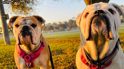 profile picture of Loose Lead Pets Pty Ltd profile picture