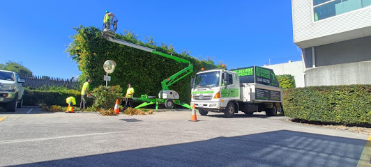 profile picture of Melbourne Tree Specialists profile picture