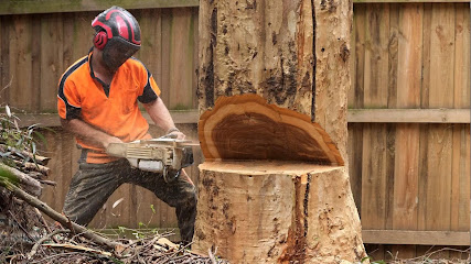 profile picture of Melbourne Tree Company profile picture