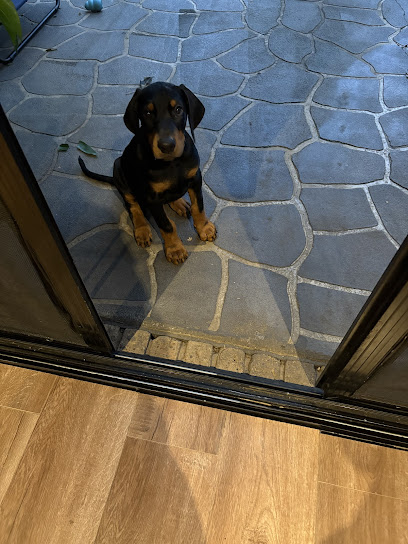 profile picture of SitDropStay Melbourne profile picture