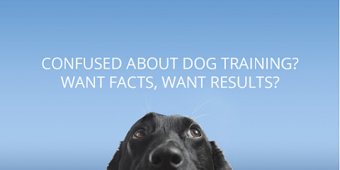 profile picture of AUSDOG The Real Dog Trainer Melbourne profile picture