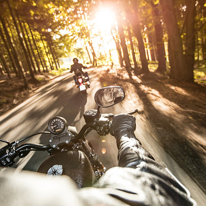 profile picture of Swann Insurance profile picture