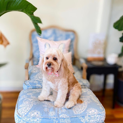 profile picture of Pets Journey Grooming Salon profile picture