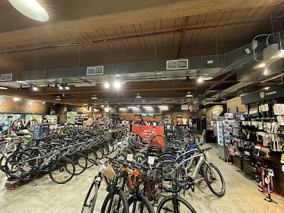 profile picture of Trek Bicycle Melbourne QV profile picture