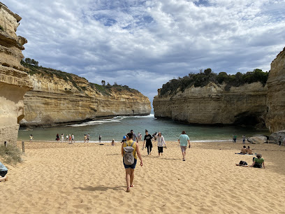 profile picture of Bunyip Tours - Sightseeing Melbourne profile picture