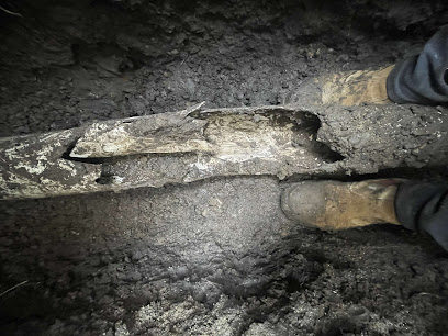 profile picture of Melbourne Drain Medics Pty Ltd profile picture