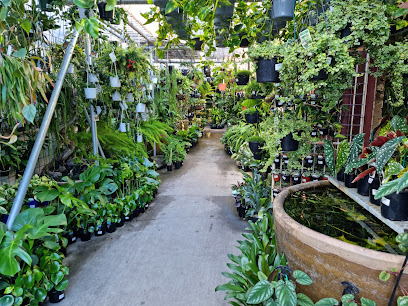 profile picture of Mappin's Nursery & Aquarium profile picture