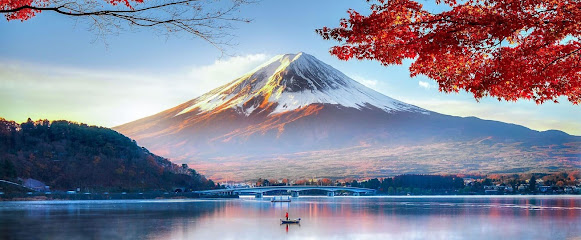 profile picture of Acupuncture Brisbane profile picture