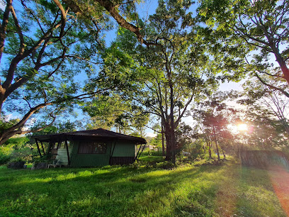 profile picture of Hypnotherapy in Brisbane - Make It Happen Hypnotherapy profile picture