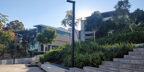 profile picture of Surgical Treatment and Rehabilitation Service (STARS) profile picture