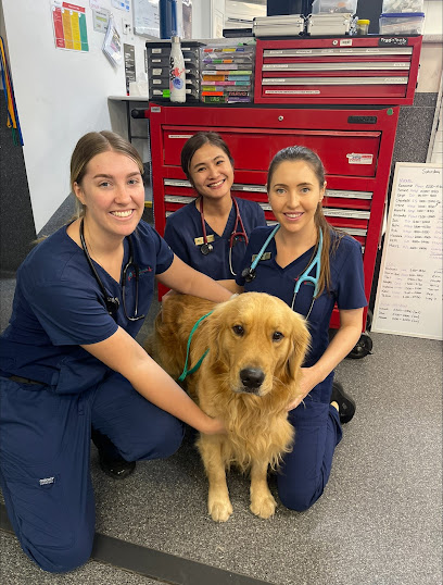 profile picture of Animal Emergency Service profile picture