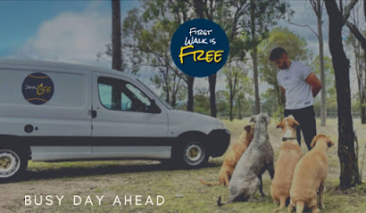 profile picture of Dogs Life Brisbane profile picture