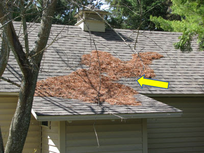 profile picture of VIP Roofing Brisbane profile picture