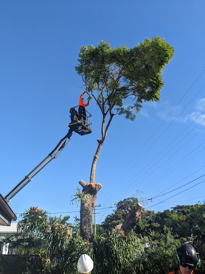 profile picture of Brisbane Tree Experts - Tree Care Specialists profile picture
