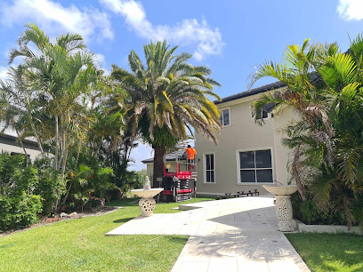 profile picture of Brisbane Tree Guy's profile picture