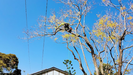 profile picture of Brisbane Trees and Gardens profile picture