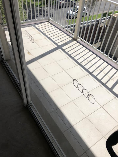 profile picture of Star Bond Cleaning Brisbane - End of lease cleaning Brisbane profile picture