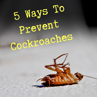 profile picture of Slug A Bug Pest Control Brisbane profile picture