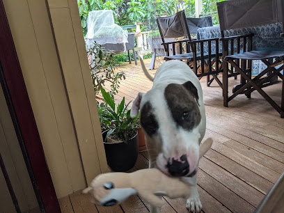 profile picture of Bark Busters Brisbane North profile picture