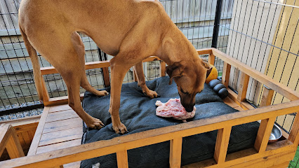 profile picture of One on One Dog Training profile picture