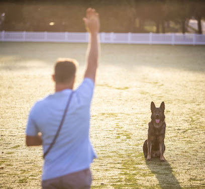 profile picture of The Paw Professor profile picture