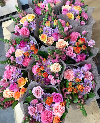 profile picture of Little Mr Bouqs profile picture