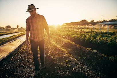 profile picture of Queensland Workplace & Workplace Injury Law profile picture