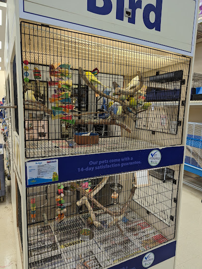 profile picture of PetO Macgregor (Formerly Best Friends Pets) profile picture