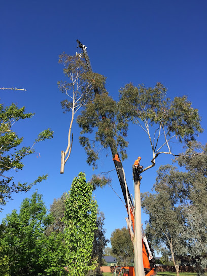 profile picture of Bradsworth Tree Services & Contracting profile picture