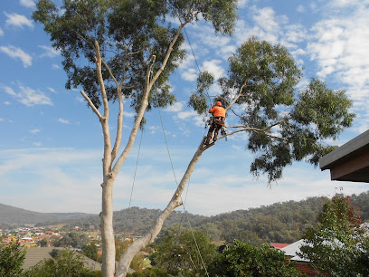 profile picture of Southern Trees - Albury Wodonga & Surrounds profile picture