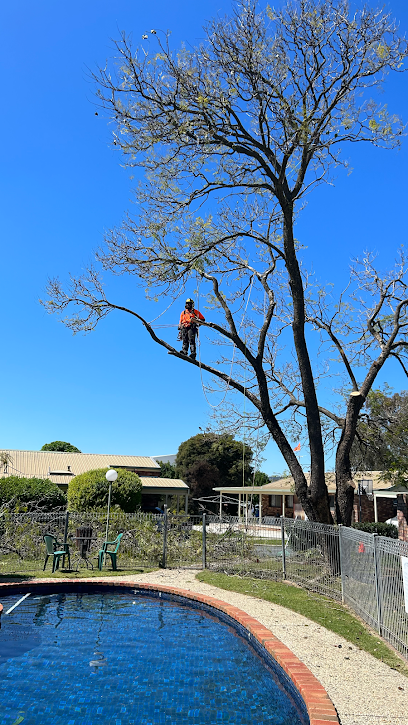 profile picture of Complete Trees and Stumps profile picture