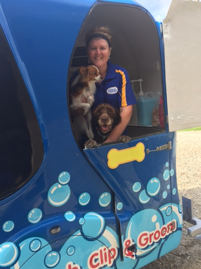 profile picture of Blue Wheelers Albury profile picture