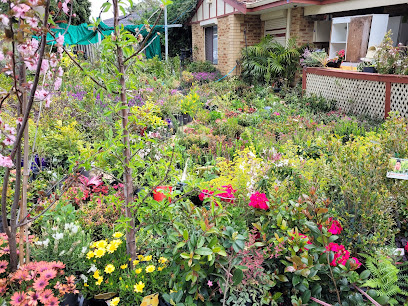 profile picture of Pot Plant Heaven Perth profile picture