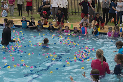 profile picture of Hollywood Primary School profile picture