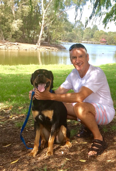 profile picture of Allpet House Sitters profile picture