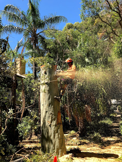 profile picture of The Tree Firm profile picture